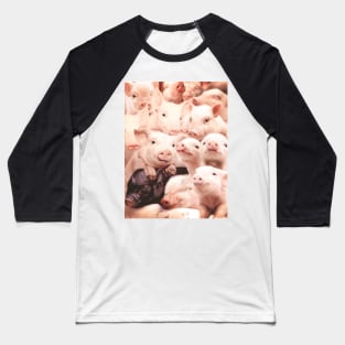 Pigs Baseball T-Shirt